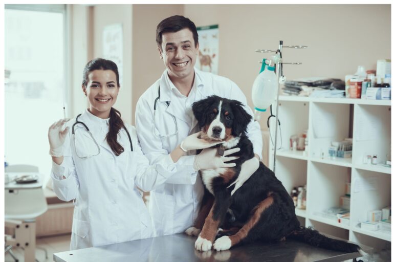 Guide to Advanced Pet Clinics in Riyadh: Locations, Facilities, Timings